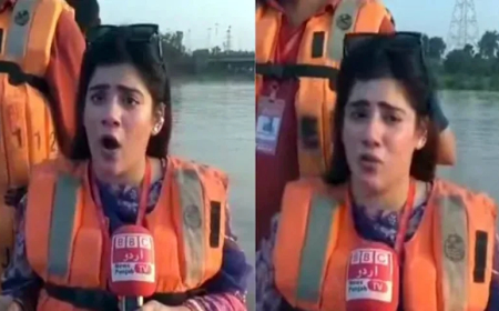’بی بی سی کا مطلب بھائی بھائی چینل ہے‘: وائرل خاتون رپورٹر نے وضاحت دے دی