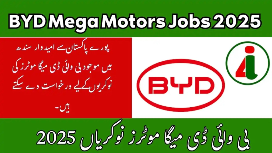 BYD Pakistan Jobs August 2025