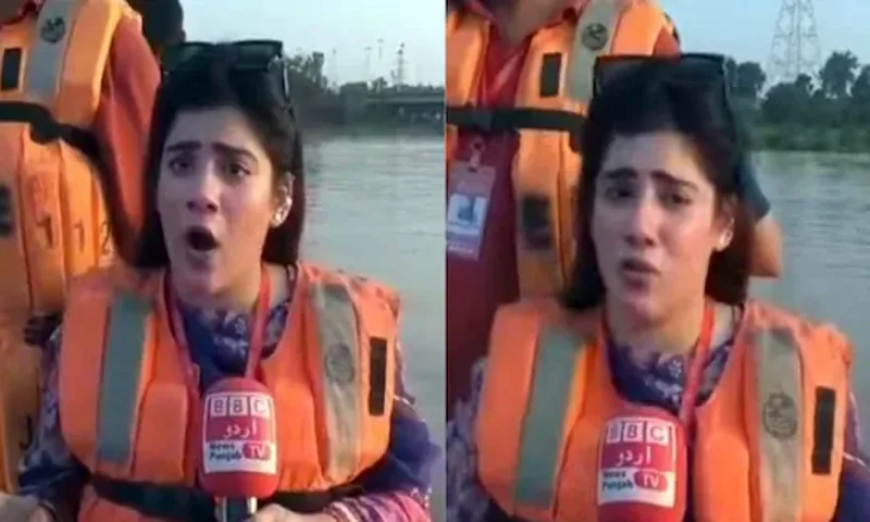 ’بی بی سی کا مطلب بھائی بھائی چینل ہے‘: وائرل خاتون رپورٹر نے وضاحت دے دی