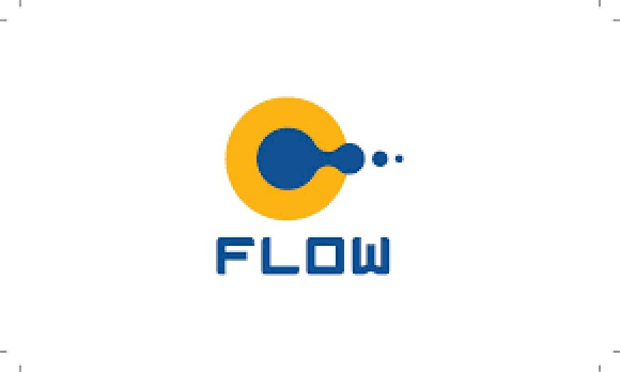 Flow Petroleum Pvt Ltd Jobs Finance Officer