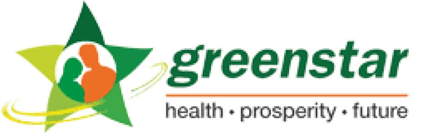 Greenstar Social Marketing (Guarantee) Limited Jobs Deputy Manager IT Business Analyst (ERP)