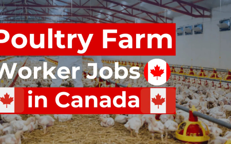 USA Poultry Farm Worker Jobs with Visa Sponsorship 2025